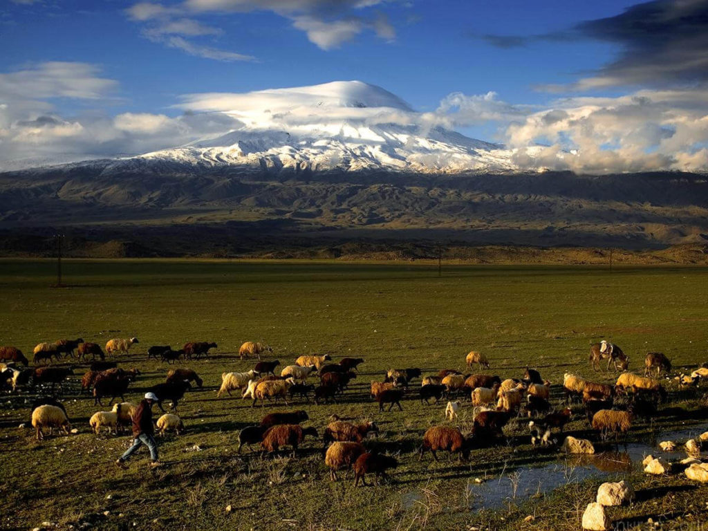 Mount Ararat